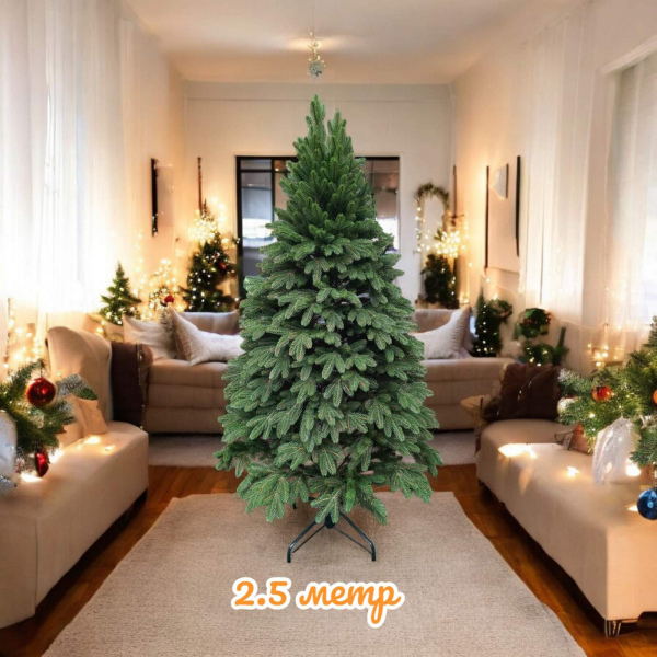 Ялинка Бельгійська 2,5