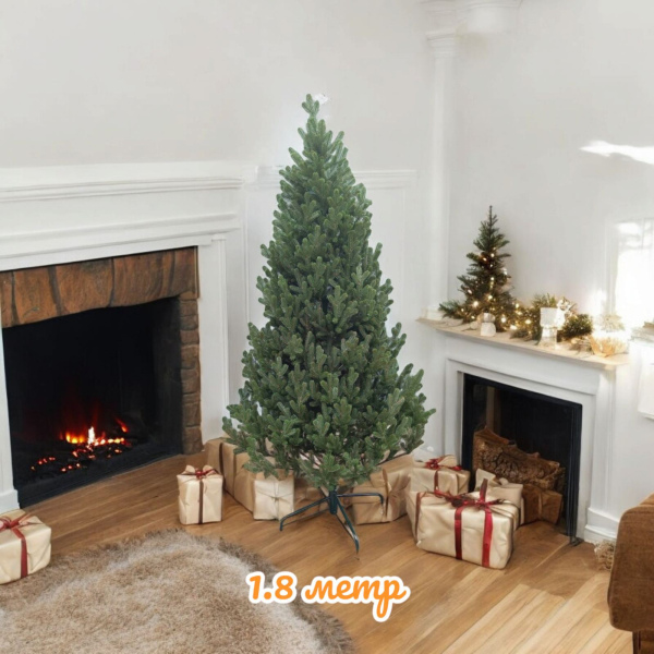 Ялинка Віденська 1,8