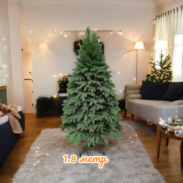 Ялинка Бельгійська 1,8