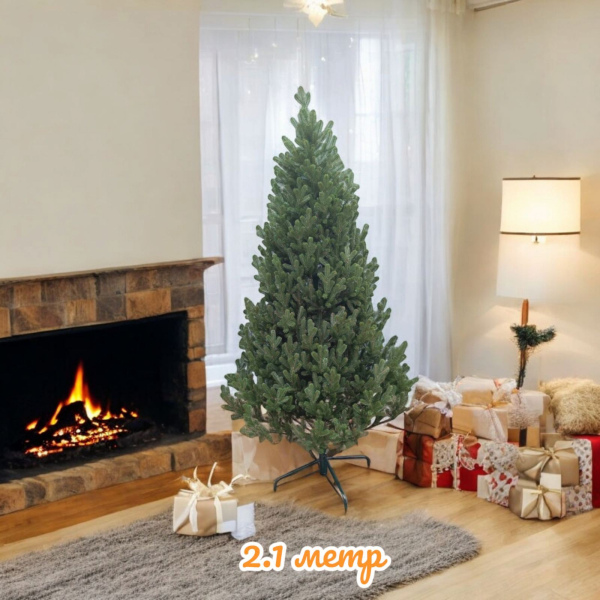 Ялинка Віденська 2,1