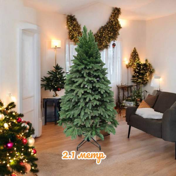 Ялинка Бельгійська 2,1