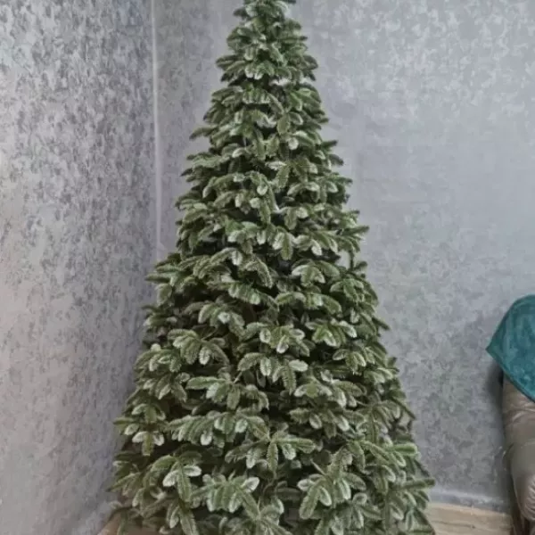 Ялинка Канадська зелено-блакитна 1,5