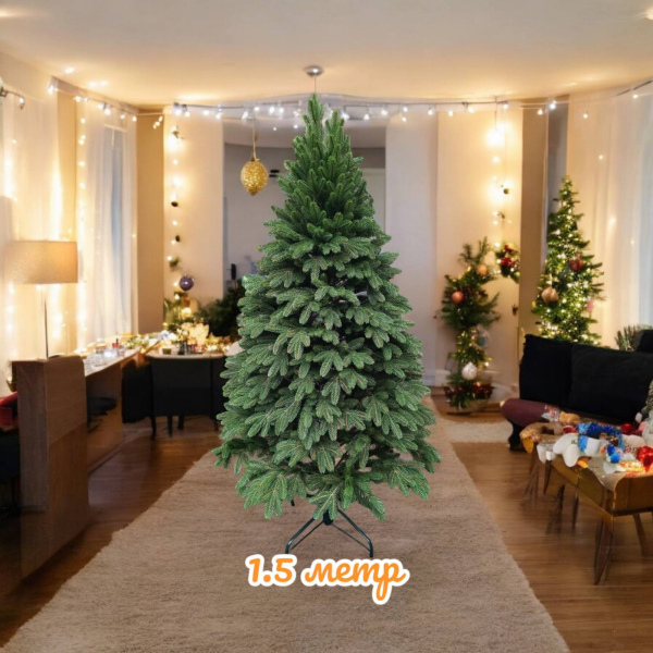 Ялинка Бельгійська 1,5