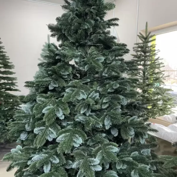 Ялинка Канадська зелено-блакитна 2,3