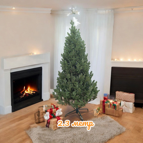 Ялинка Віденська 2,3