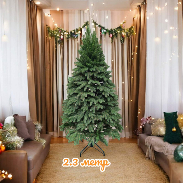 Ялинка Бельгійська 2,3